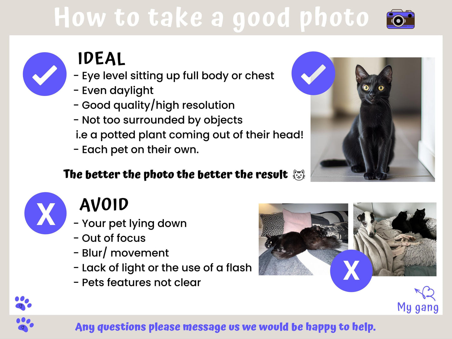 Custom Pet Portrait Print Gift, Personalized Photo +  Name Celebrating Your Cat Dogs Personalities, Unique Whimsical 'Quote' Wall Art Poster